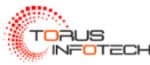 Torus Infotech logo