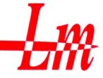Lucky Minerals Private  Limited logo