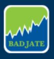 Badjate Stock and Shares Pvt  Ltd logo