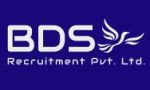 BDS Recruitment Private Limited logo