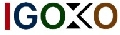 Igoko Avionics Solutions Pvt.Ltd Company Logo