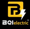 Bqi Technology Pvt Ltd Company Logo