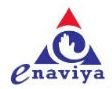 Enaviya Information Technology logo