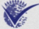 Verkko Group Company Logo