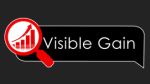 Visible Gain logo