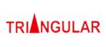 Triangular Infosolutions P Ltd logo