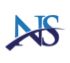 Nilasu Consulting Company Logo