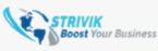 Strivik Business Solution Company Logo