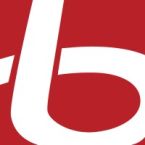 Blueyed Careers Company Logo
