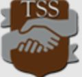 Tech Stalwart Solution Company Logo