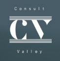 Consult Valley Company Logo