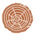 Sapwood Ventures Company Logo
