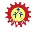 CSIRIIT Company Logo