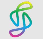 Slyaka Web Infra Consulting OPC Pvt Ltd logo
