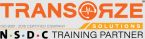 Transorze Solutions Company Logo