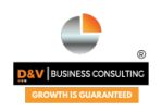 D&V Business Consulting logo