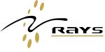 Rays Techserv Pvt Ltd. logo