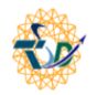 Techieshubhdeep It Solutions Pvt Ltd logo