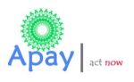 Apay Technology and Solution Private Limited logo