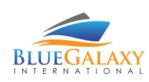 Bluegalaxy International Exports Private Limited logo