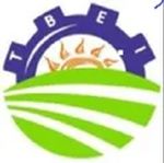 The Business Engineers India logo