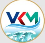 VKM Foods Private Limited logo