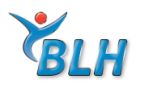 BLH logo