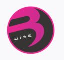 Bwise Solutions Pvt. Ltd. logo