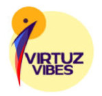 Virtuz vibes OPC Pvt Ltd logo
