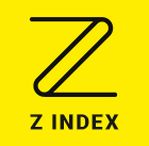 Z Index Solutions Company Logo