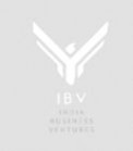 IBV Tecnologies Pvt Ltd logo