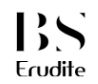 Bs Erudite Company Logo