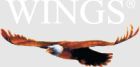 Wings group of companies logo