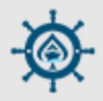Acevoyages International Pvt Ltd logo
