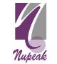 Nupeak IT Solution LLP logo