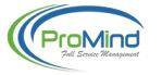 Promind Solution Company Logo