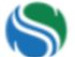 Softwaregen Technology Company Logo