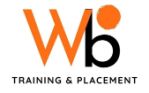Witbloom Training and Placement logo
