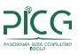 Panorama India Consulting Group logo