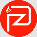 Payzon India Company Logo
