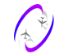 Flywheel Aviation Academy logo
