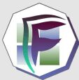 Follis Hitech Solutions logo