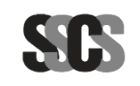 Soni Supputation & Consultancy Services Pvt Ltd Company Logo