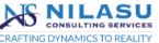 Nilasu Consulting Services logo
