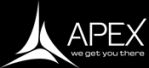 Apex Infotech India logo