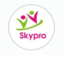 Skypro Technology logo