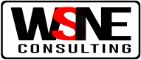 WSNE Consultancy logo