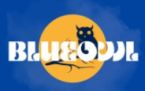 Studio Blue Owl logo