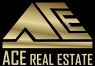 ACE Real Estate logo