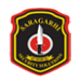 Saragarhi Security Solutions Company Logo